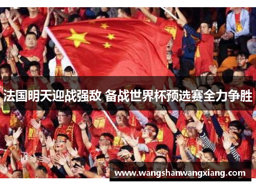 法国明天迎战强敌 备战世界杯预选赛全力争胜